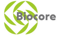 Biocore Technologies LTD